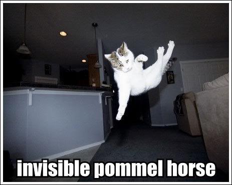 Epic cat thread Invisible-pommel-horse