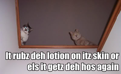 Epic cat thread It-rubz-deh-lotion-on-itz-skin-or-e