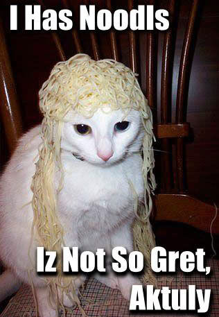 Epic cat thread Noodlsgo7