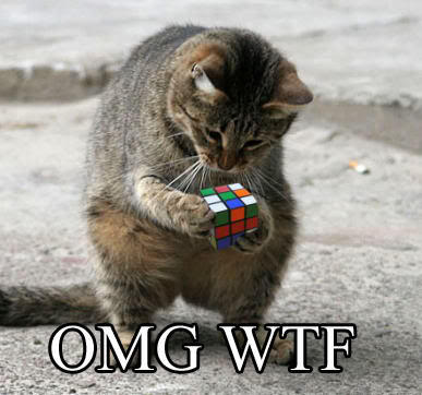 Epic cat thread Stupid-trick-cube