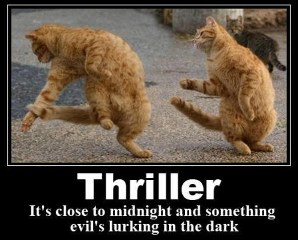 Epic cat thread Thriller20cats