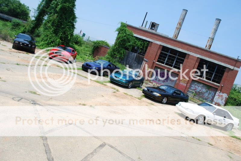 some unofficial SC photoshoot pics 6-5-2010 DSC_1214