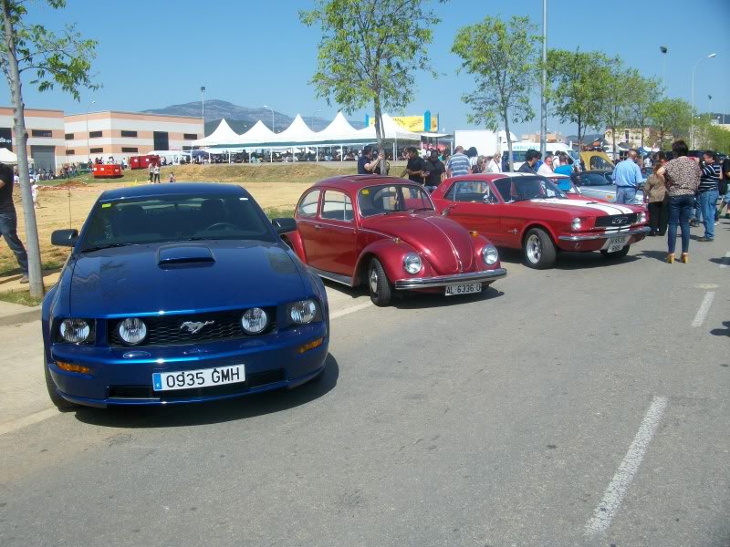 SPEEDFEST CASTELLAR DEL VALLES IMGP0611-1