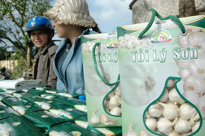 Hành, tỏi Lý Sơn sẽ “góp mặt” tại Hội chợ triển lãm Nông nghiệp Quốc tế lần thứ 11 63371gif