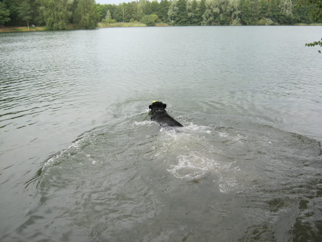 Eerste wandeling Wodan op het hulsbeek 006jpg-1