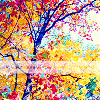 رمزيات مسن روعة Icon-ur-colorfultrees