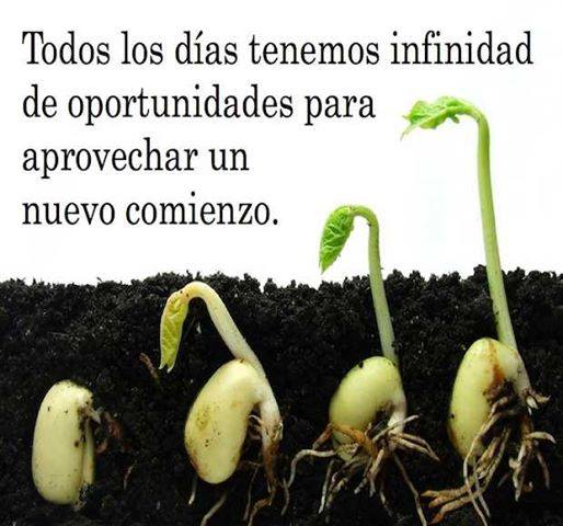 Reflexiones - Página 4 10390022_10152429419516006_7833216561230824548_n_zps37396194