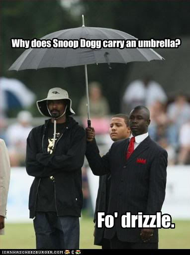 The joke thread SnoopDogg-FoDrizzle