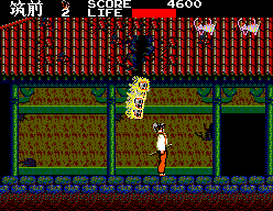 Kenseiden [Master System] 76026-kenseiden-sega-master-system-screenshot-flying-skullss