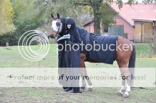 Halloween mit Pferd KatjasBilder244
