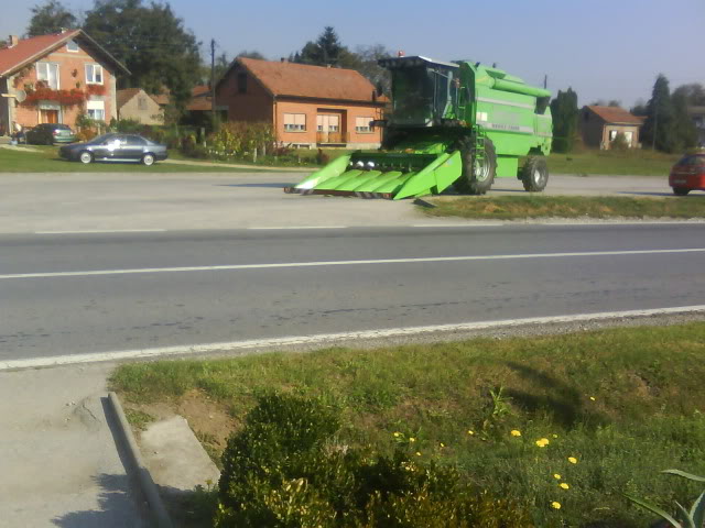 Vrevina kukuruza, rod 2009. DSC08284