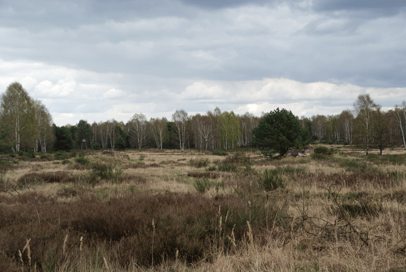 Inspektionsreise Fuß-Artillerie-Regiment 9 - Schießplatz Jüterbog Fuss43_zpsoreotufq