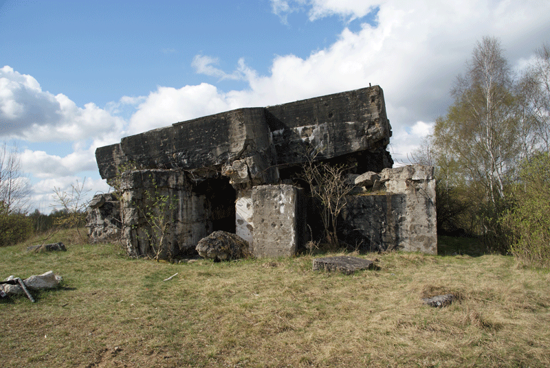 Inspektionsreise Fuß-Artillerie-Regiment 9 - Schießplatz Jüterbog Fuss57_zpsj8hfwrff