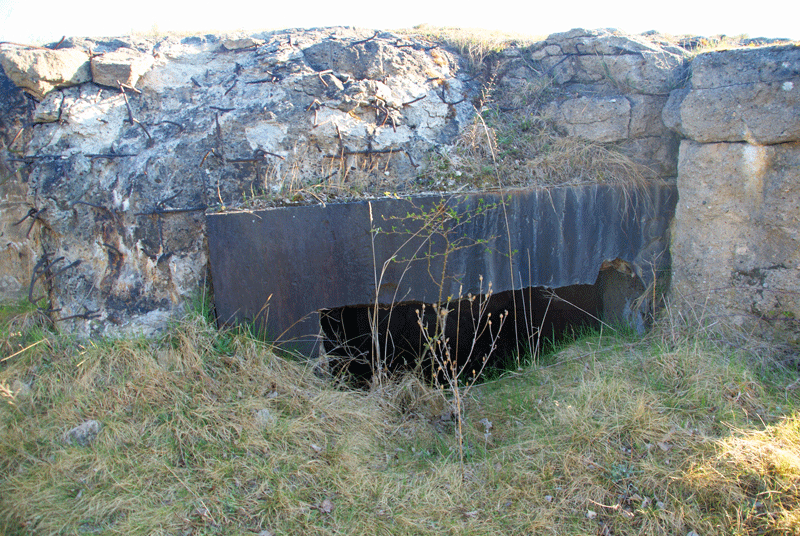 Inspektionsreise Fuß-Artillerie-Regiment 9 - Schießplatz Jüterbog Fuss73_zpsv8rbsdzl