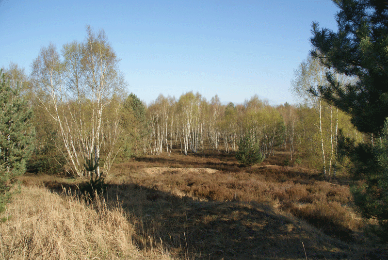 Inspektionsreise Fuß-Artillerie-Regiment 9 - Schießplatz Jüterbog Fuss75_zpsuzoqnpfg