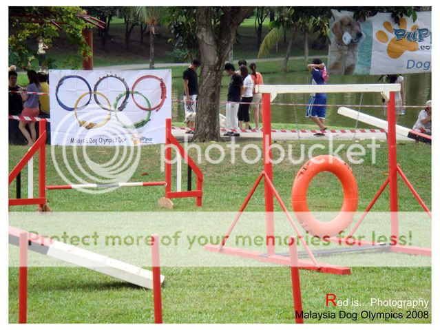 Malaysia Dog Olympic Day 2008 - Page 6 IMG027