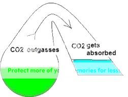 DIY Co2 - Page 2 Image004-2