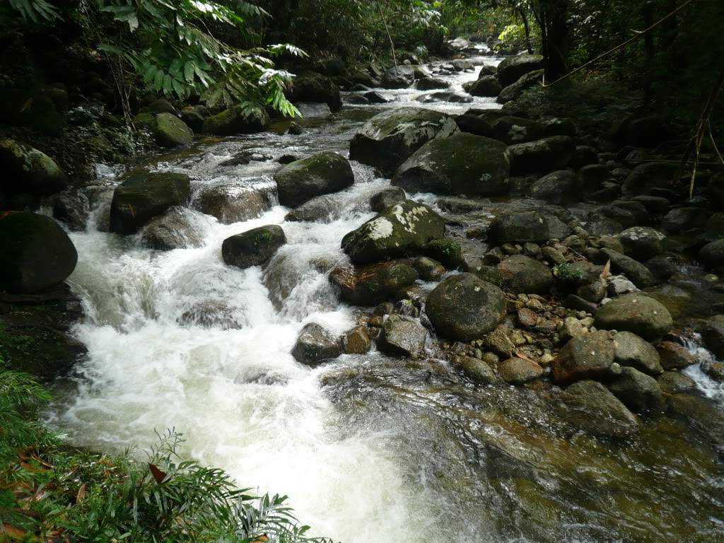 OPS Samun Fred FlintSTONES (Gunung Batu Puteh 4-7 Dis 2009) P1040253