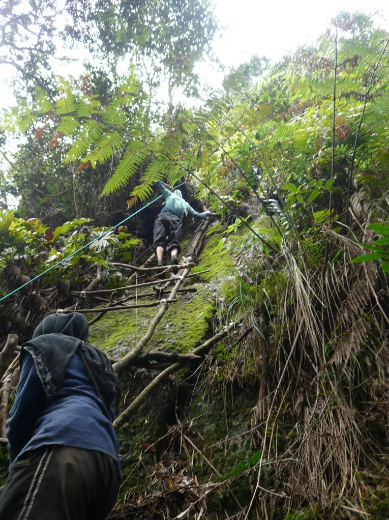 OPS Samun Fred FlintSTONES (Gunung Batu Puteh 4-7 Dis 2009) P1040291