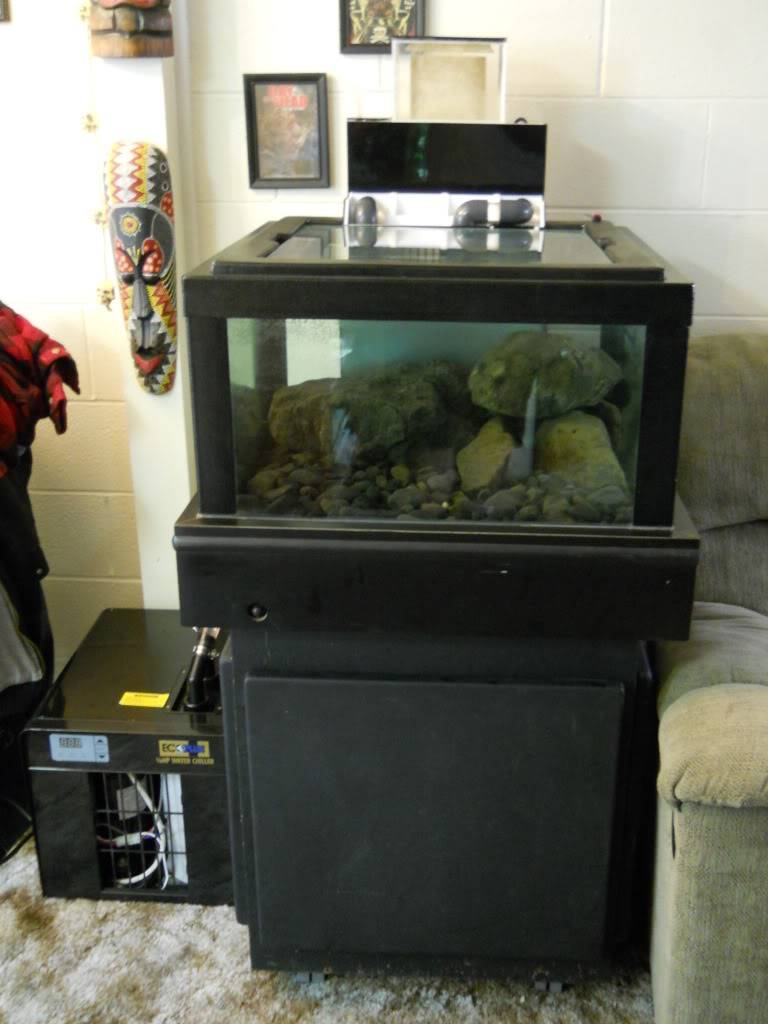 My friends new coldwater tank. DSCN0175