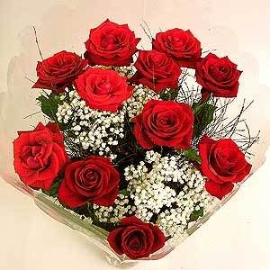 مجرد تفكير!!!!!!!!!!!!!!! Flowers-directory-12-red-roses