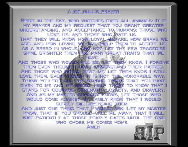 Pit bull PitbullPrayer