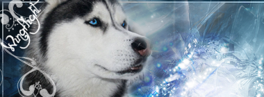 Avatars and Signitures Husky