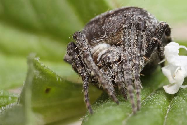 bugging au Cap St. Jacques - Page 2 2010-07-30-161440-ZS-PMax