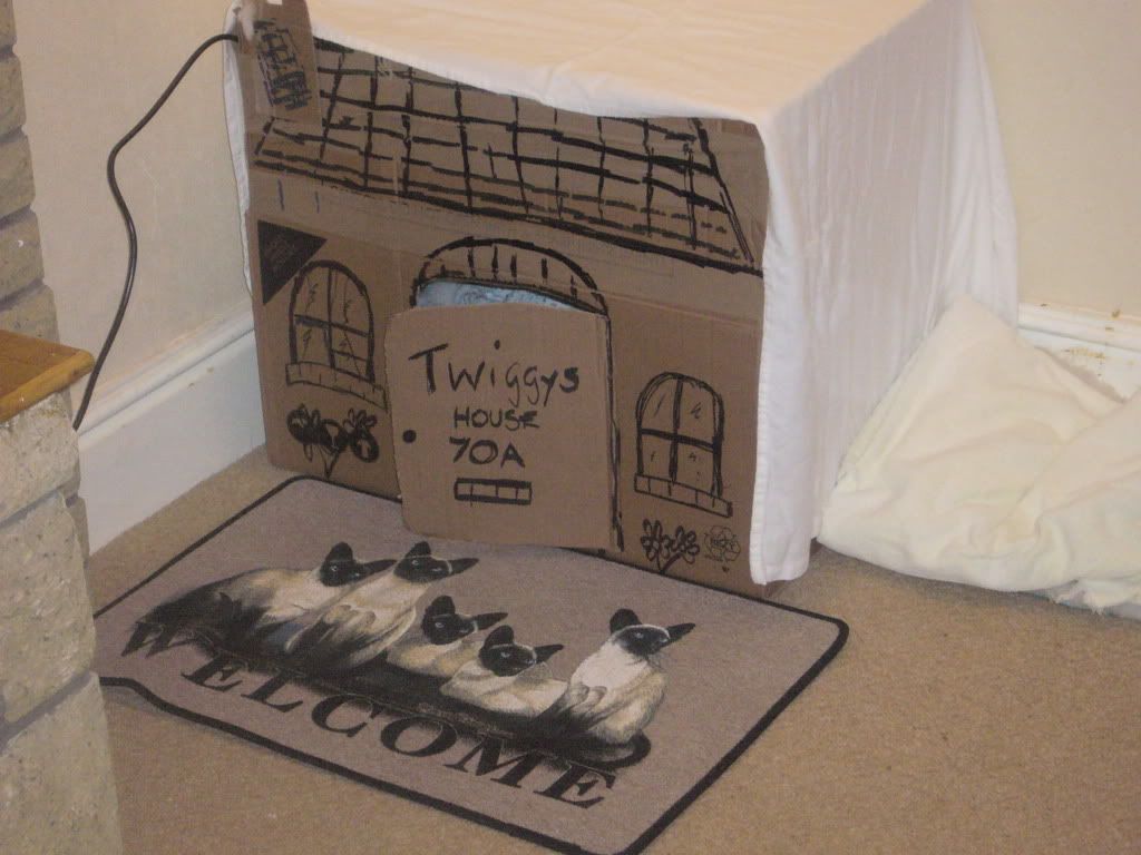 twiggy's new maternity house!!! Ebay018