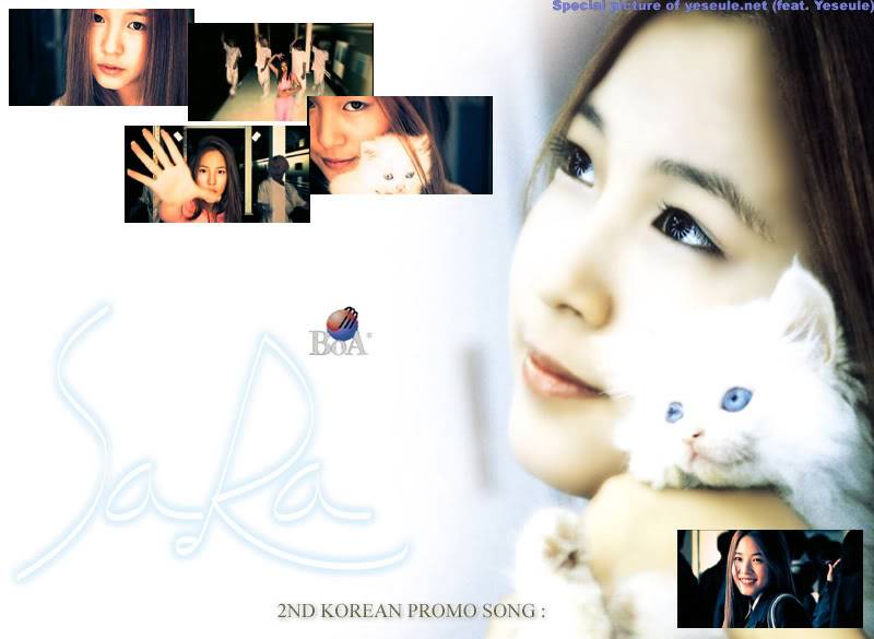 profile _ BoA พร้อมภาพประกอบ K02