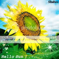 Avata đẹp!!! Sunflower015_01