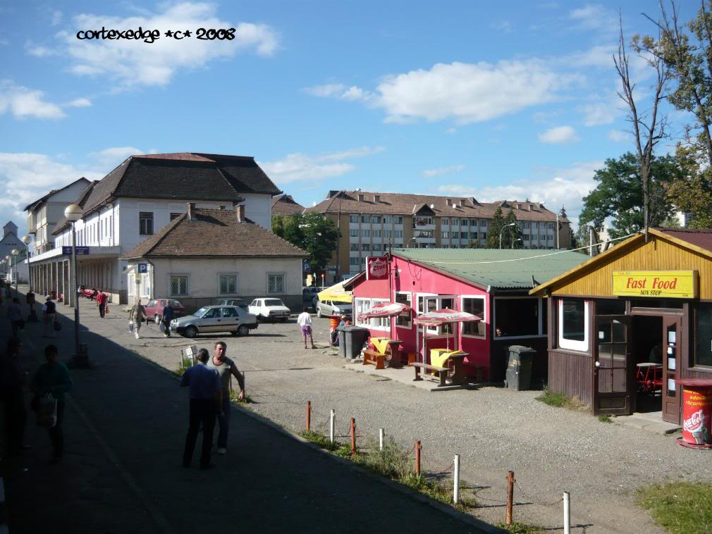 Gari din Romania P1060590