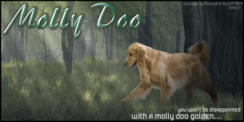 My banners from December 07 Molly_Doo