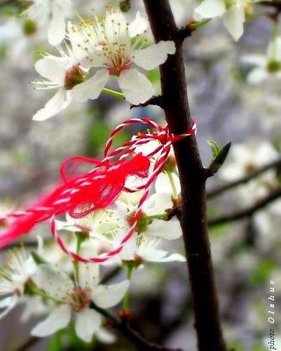  54. Fatmagül'un sucu ne ? ~ General Discussions - Comentarii - Pagina 43 Martisor