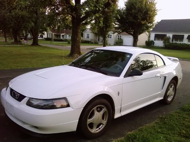 Post up your old rides! Stang3