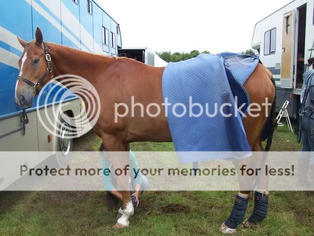 Eventing in the mud! Randoms049