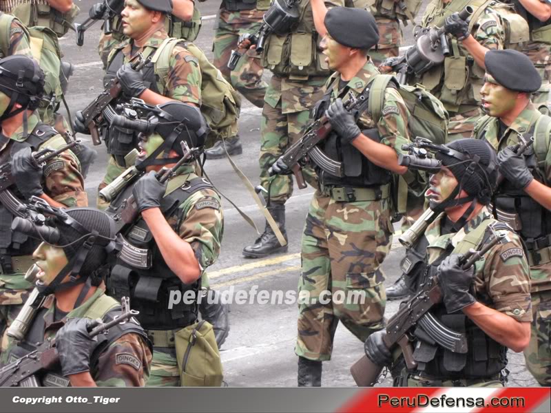 Fuerzas Armadas del Peru - Página 2 D200934