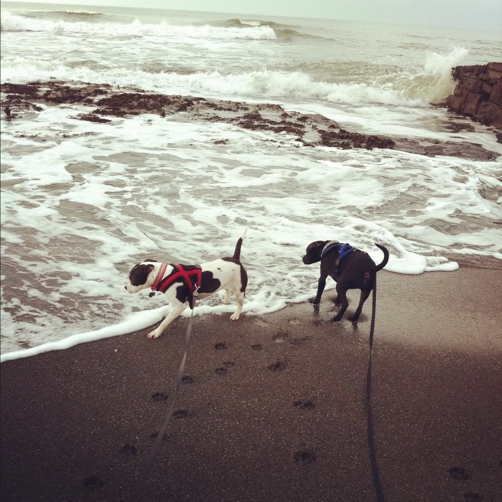 Beach fun (FB PG) pik heavy 790899f6