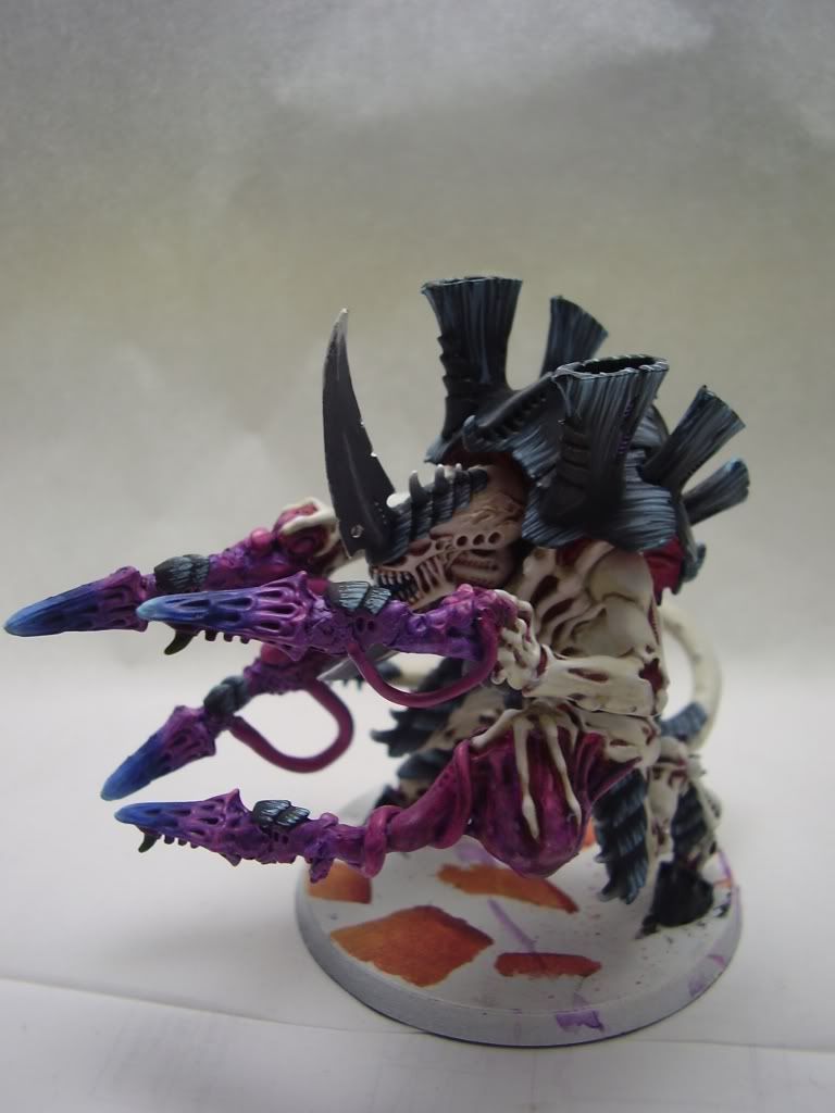 Eldar Ulthwe Army...primi passi :P PC210018