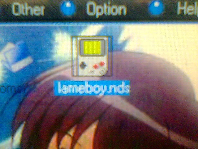 [DS] Lame Boy (GBC) + Juegos Imagen007