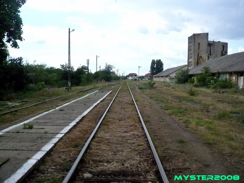 218 : Timisoara Nord - Biled - Lovrin - Cenad P1030330