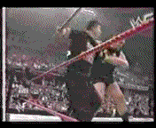 Taller de Gifs de Y2J Y RKO - Pgina 2 Shane_McMahon_vs_Big_Show3