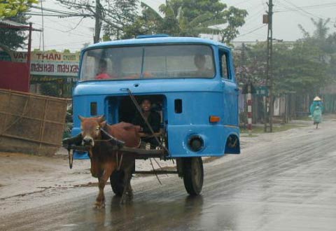 Only in Vietnam Horsepower