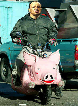 Rafa rides a Bike Pig-bike_122702