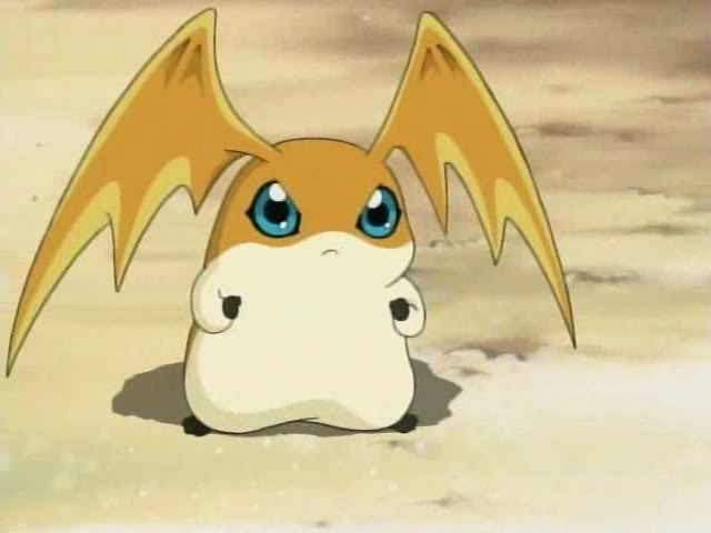 ~~DIGIMON~~ 35Patamon16