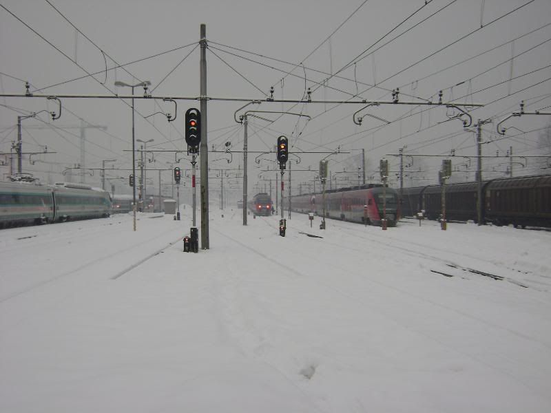 Izlet u Ljubljanu 30. sijenja 2010. DSC05991