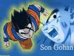 Galeria de imagenes Dragon Ball Gohanpulenta