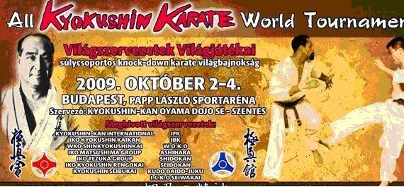 Kyokushin Karate World Tournament S