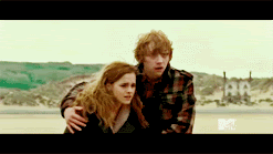 Harry Potter ve lm Yadiarlar - Sayfa 2 Ronald-and_hermione-X
