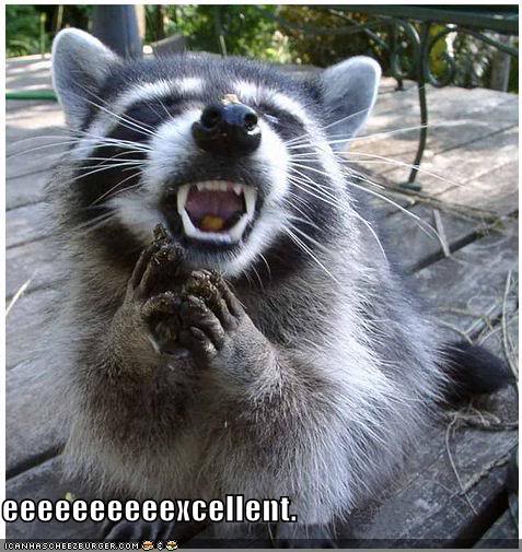 Pido Una Imagen. [Juego]. - Página 18 Funny-pictures-evil-raccoon